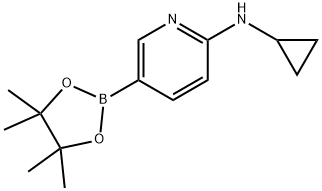 2-CYCLOPROPYLAMINO-5-PYRIDINEBORONIC ACID, PINACOL ESTER Struktur