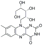 RIBOFLAVIN BINDING PROTEIN Struktur