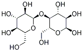 Mouse Anti Maltose-Binding protein