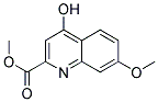 METHYL 4-HYDROXY-7-METHOXYQUINOLINE-2-CARBOXYLATE