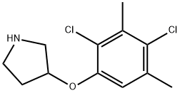 3-(2,4-DICHLORO-3,5-DIMETHYLPHENOXY)PYRROLIDINE Struktur