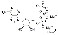 Adenosine 5'-triphosphate magnesium salt hyddrate Struktur