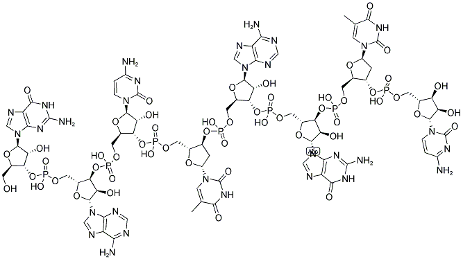 GACTAGTC, 5'-NON-PHOSPHORYLATED Struktur