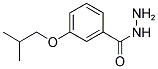 3-ISOBUTOXY-BENZOIC ACID HYDRAZIDE Struktur
