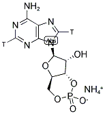 [2,8-3H]ADENOSINE 3',5'-CYCLIC PHOSPHATE, AMMONIUM SALT Struktur