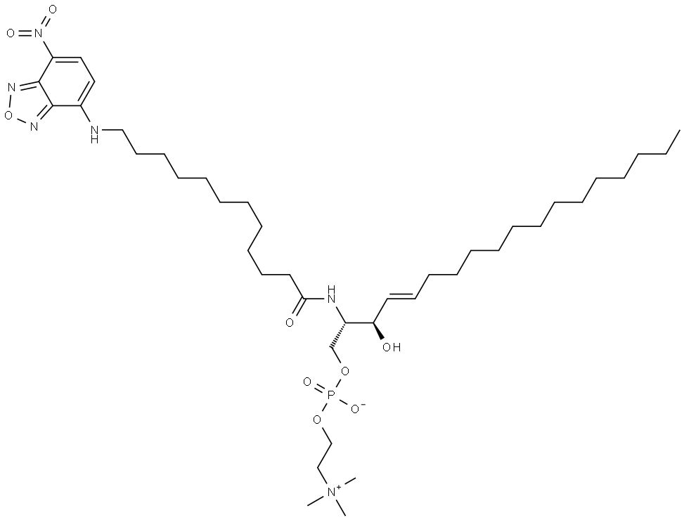 C12 NBD-SPHINGOMYELIN Struktur