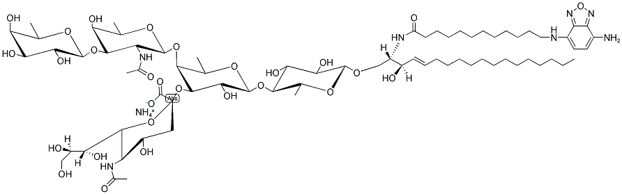 GANGLIOSIDE GM1 NBD, OVINE BRAIN Struktur