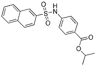 AURORA 22405 Structure