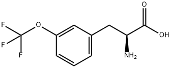 2-AMINO-3-(3-TRIFLUOROMETHOXY-PHENYL)-PROPIONIC ACID price.