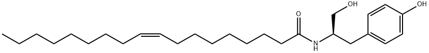 OMDM-2 Structure