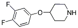 4-(3,4-DIFLUOROPHENOXY)PIPERIDINE Struktur