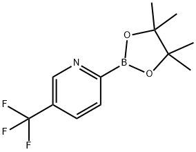 5-TRIFLUOROMETHYLPYRIDINE-2-BORONIC ACID PINACOL ESTER