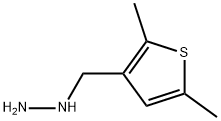 (2,5-DIMETHYL-THIOPHEN-3-YLMETHYL)-HYDRAZINE Struktur