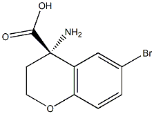  化學(xué)構(gòu)造式
