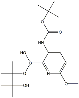 3-TERT-BUTYLOXYCARBONYLAMINO-6-METHOXYPYRIDINE-2-BORONIC ACID PINACOL ESTER Struktur